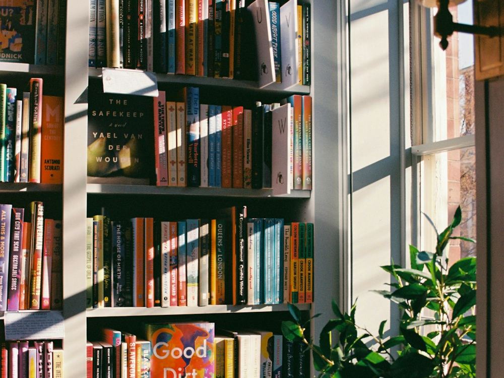 Полка с книгами в кофейне ХВОЯ